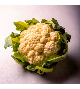 Cauliflower flavour